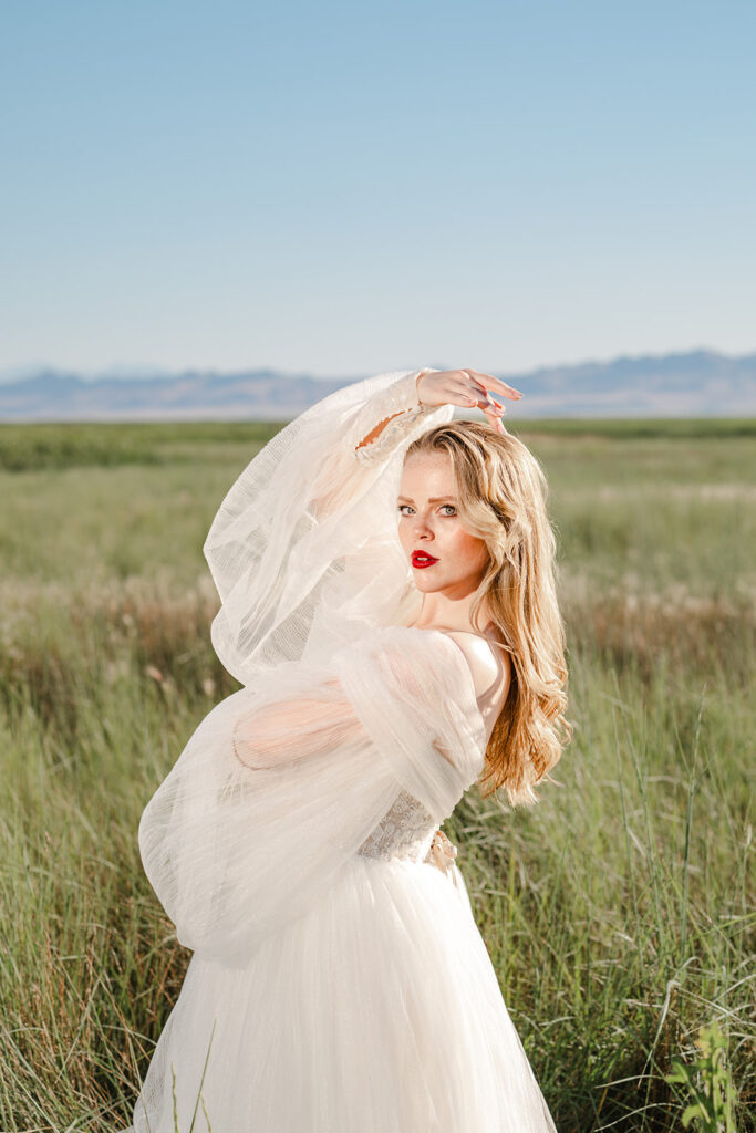 Wed Utah Wedding Dress Rentals